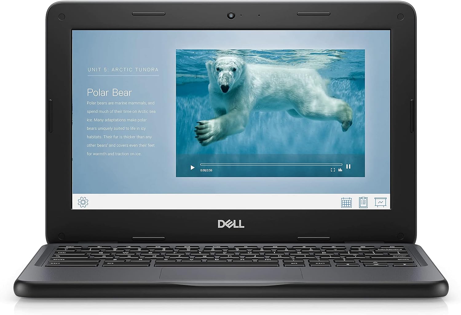 Dell 11 3100 11.6in Touchscreen 2 in 1 Chromebook (HD - 1366 x 768 - Intel Celeron N4020 Dual-core,4 GB RAM - 32 GB) (Renewed)